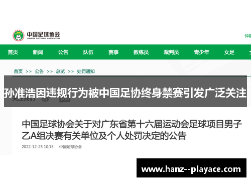 孙准浩因违规行为被中国足协终身禁赛引发广泛关注 孙准浩因违规行为被中国足协终身禁赛引发广泛关注